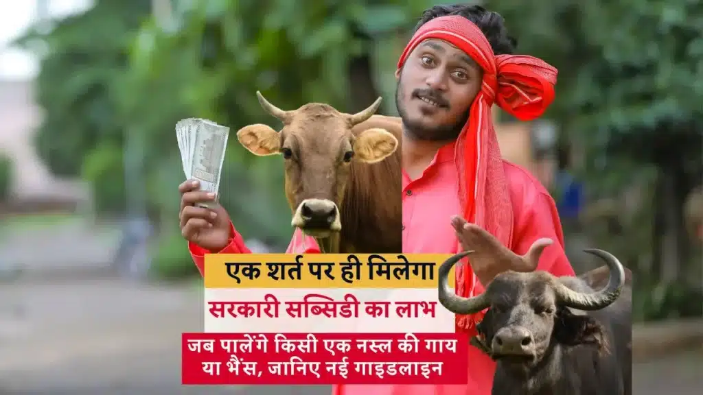Dr Bhimrao Ambedkar Kamdhenu Yojana