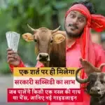 Dr Bhimrao Ambedkar Kamdhenu Yojana