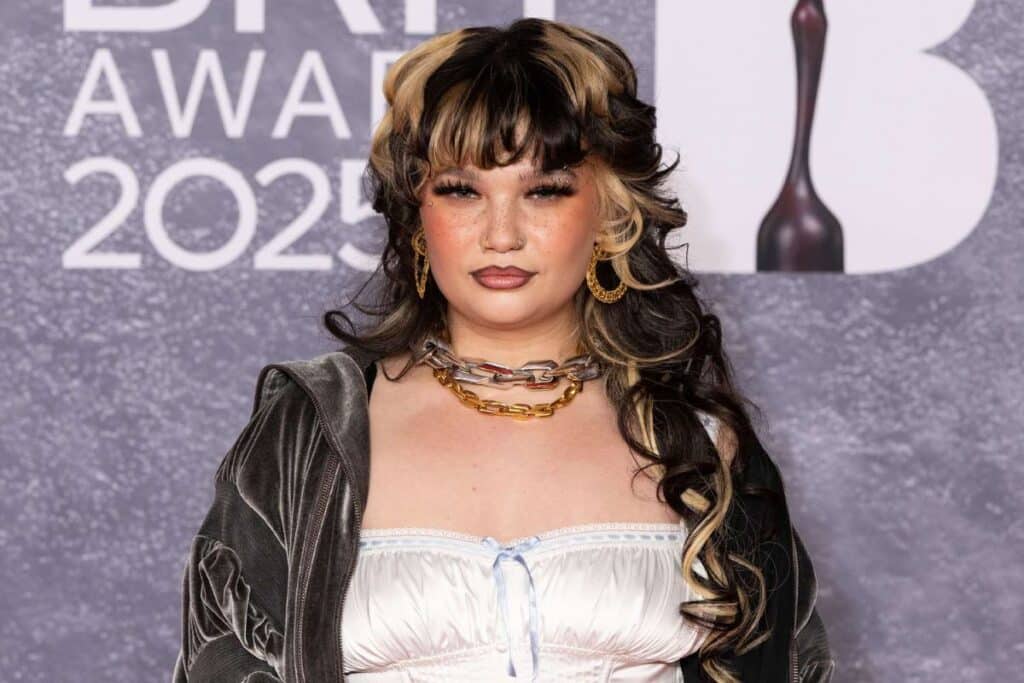 Lola Young Collapses On Stage